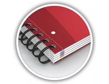 Caiet cu spirala, OXFORD Essentials Europeanbook, A4+, 4 culori x 30 file - 90g/mp, Scribzee-mate
