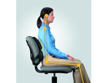 Suport ergonomic pentru spate, FELLOWES Professional Series